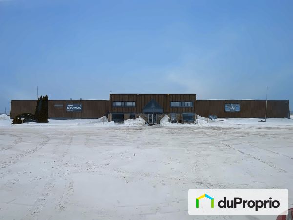 1750, rue Saint-Cléophas, St-Gabriel-De-Brandon à vendre