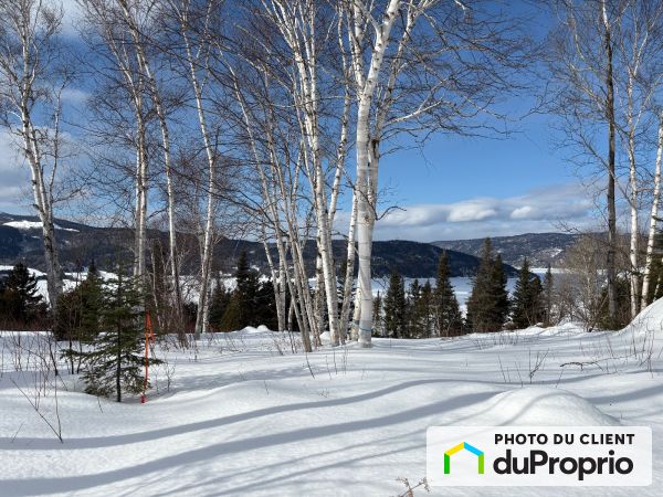 Propriété vendue à L'Anse-St-Jean