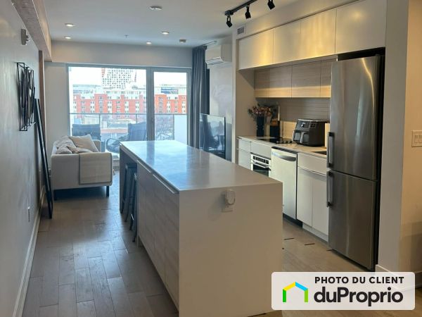 350-725, rue Éléanor, Griffintown à vendre