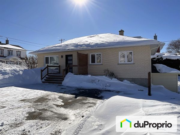 298, rue Principale Ouest, St-Eloi à vendre