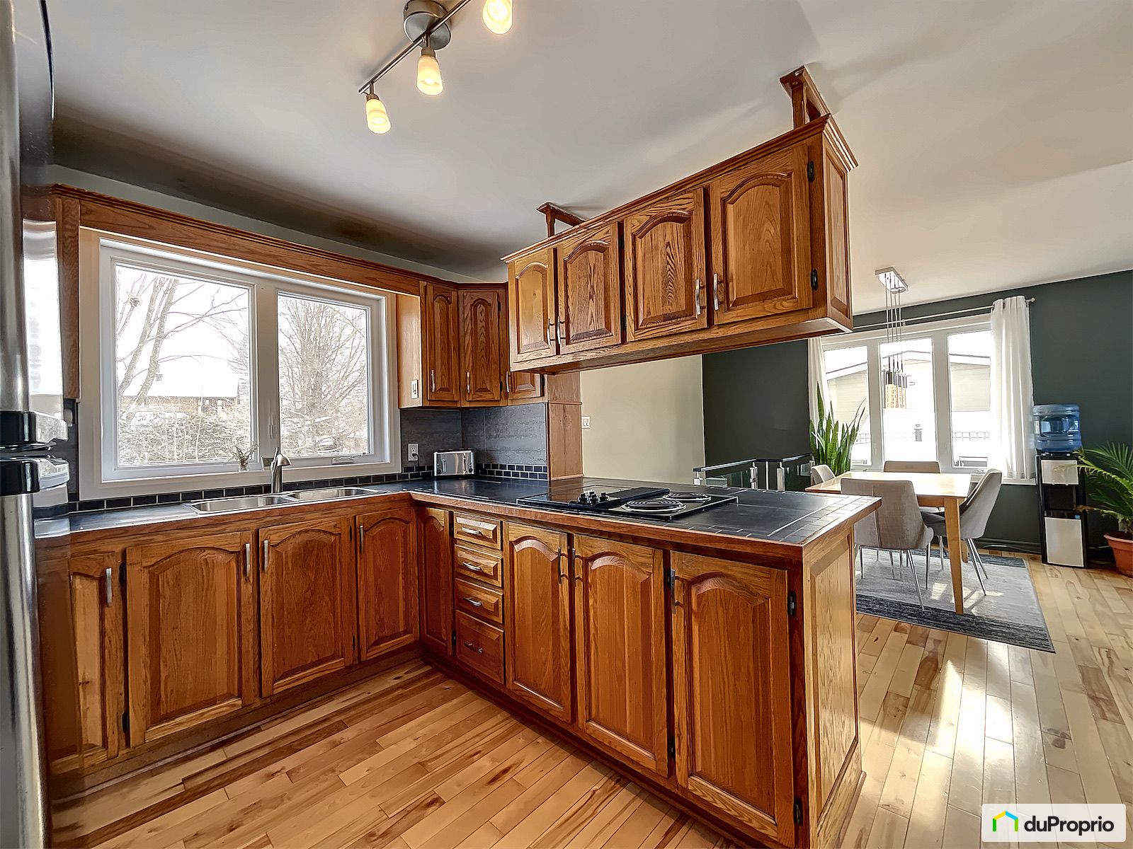 459 Rue Bernard Pilon — photo 2