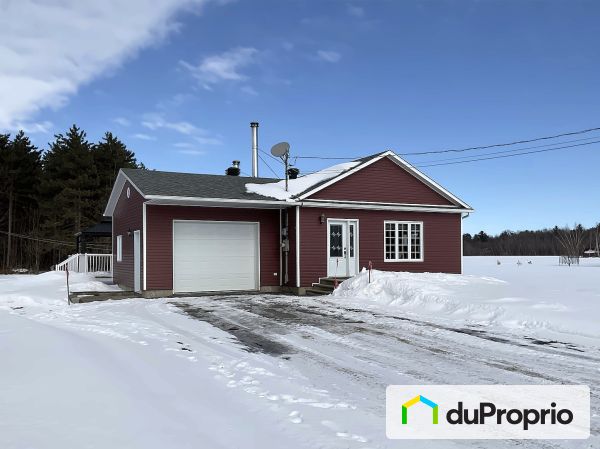 256A rang du Chenal-Tardif, Pierreville for sale