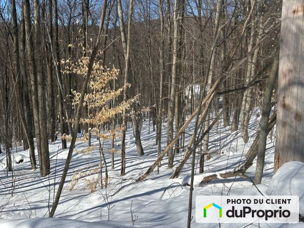 X, rue Jestel, Shefford à vendre