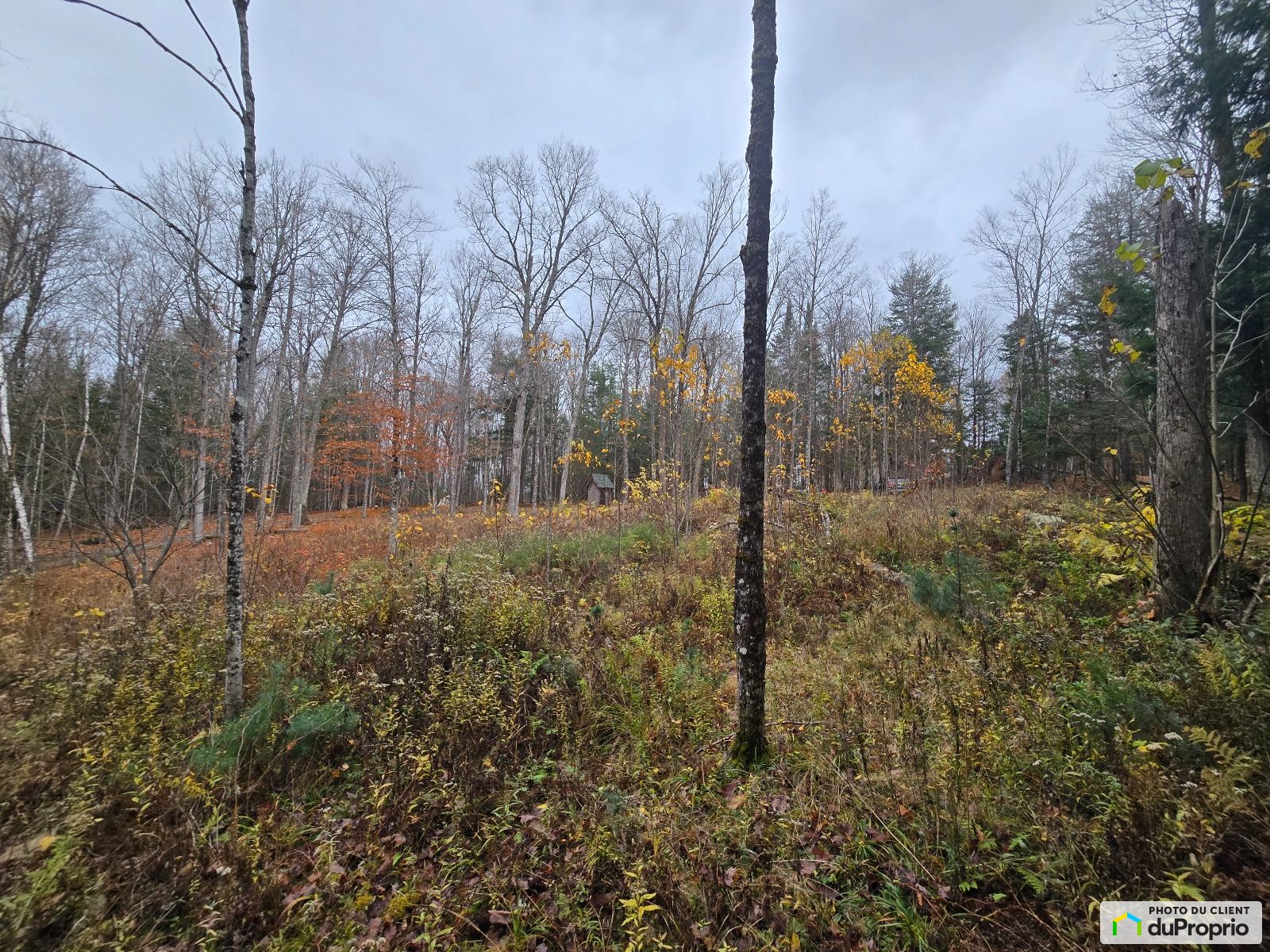 138 Chemin Lesage — photo 1