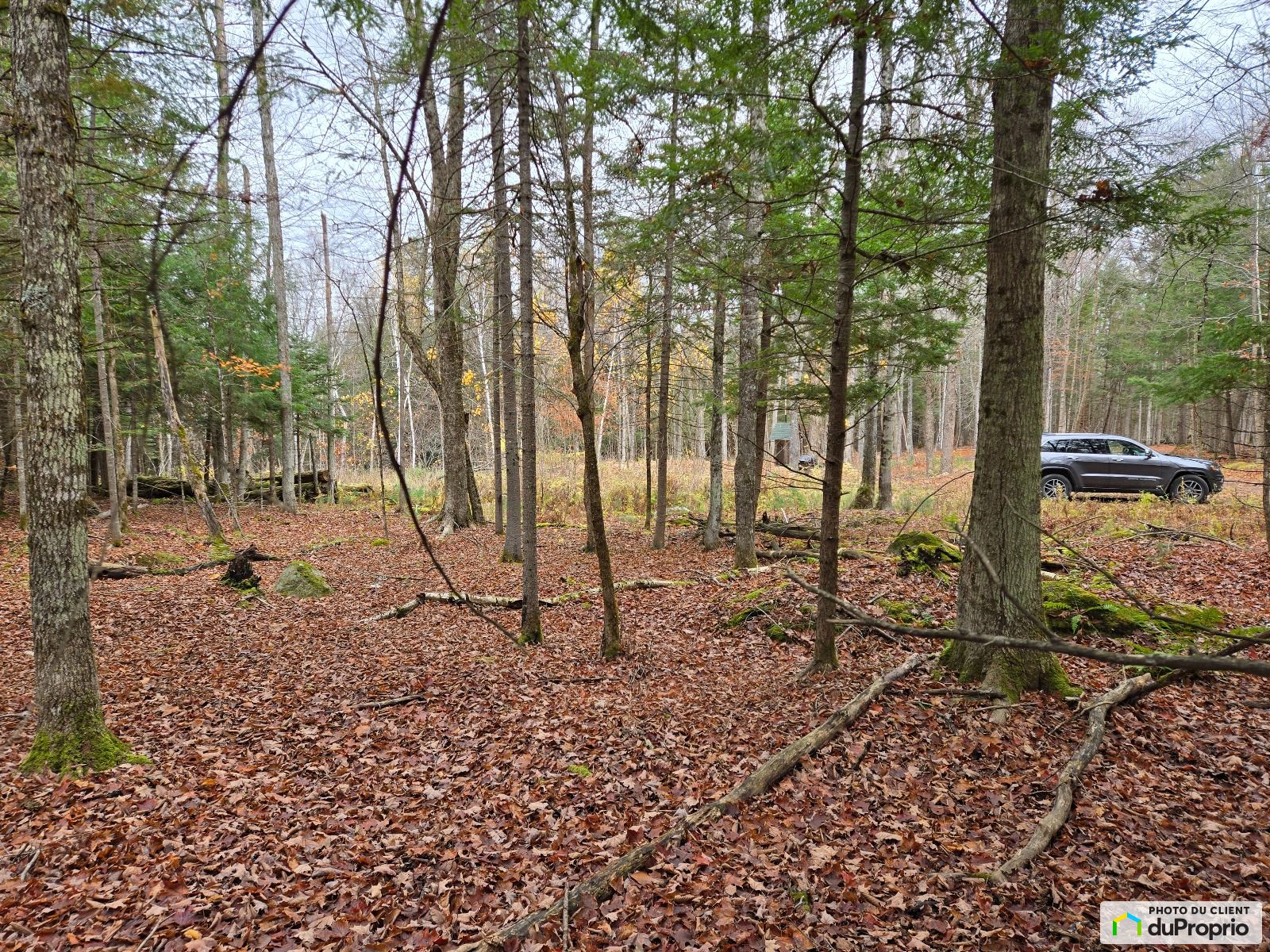 138 Chemin Lesage — photo 2