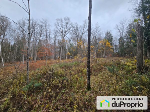 138 chemin Lesage, Bouchette for sale