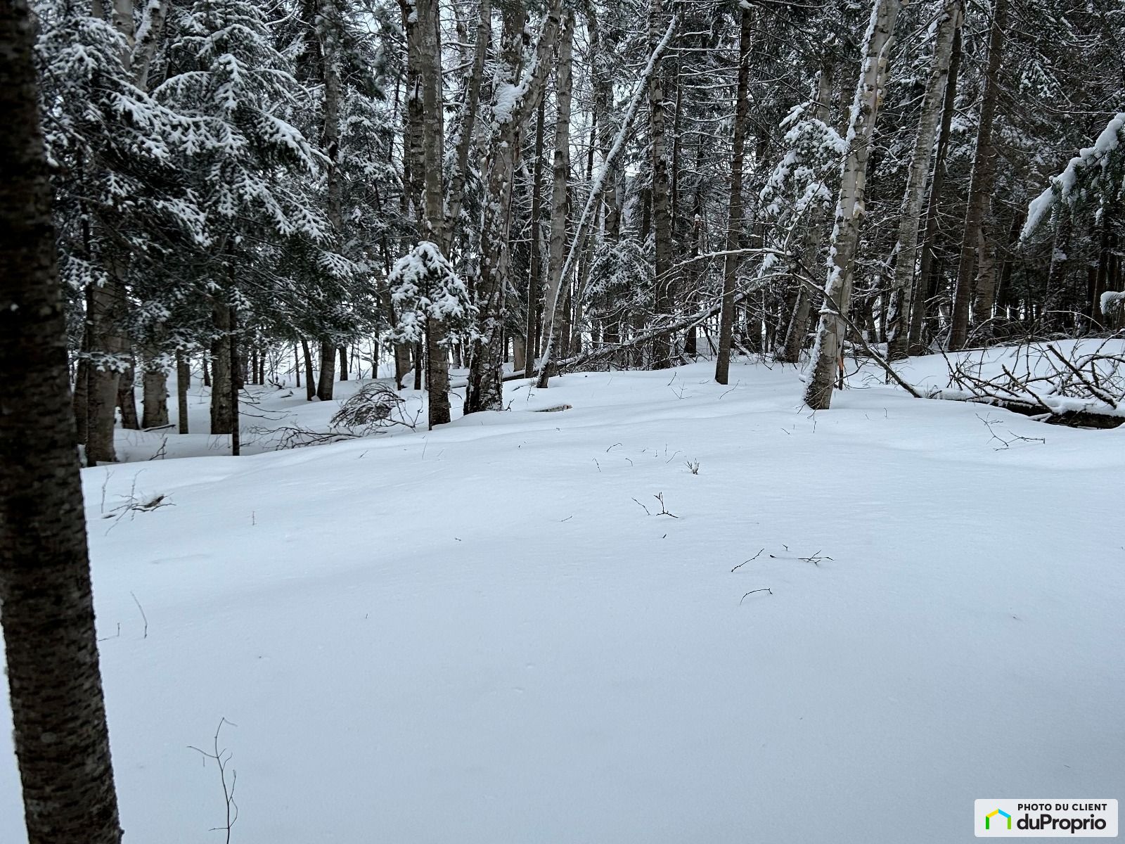 X Chemin Des Sureaux — photo 3