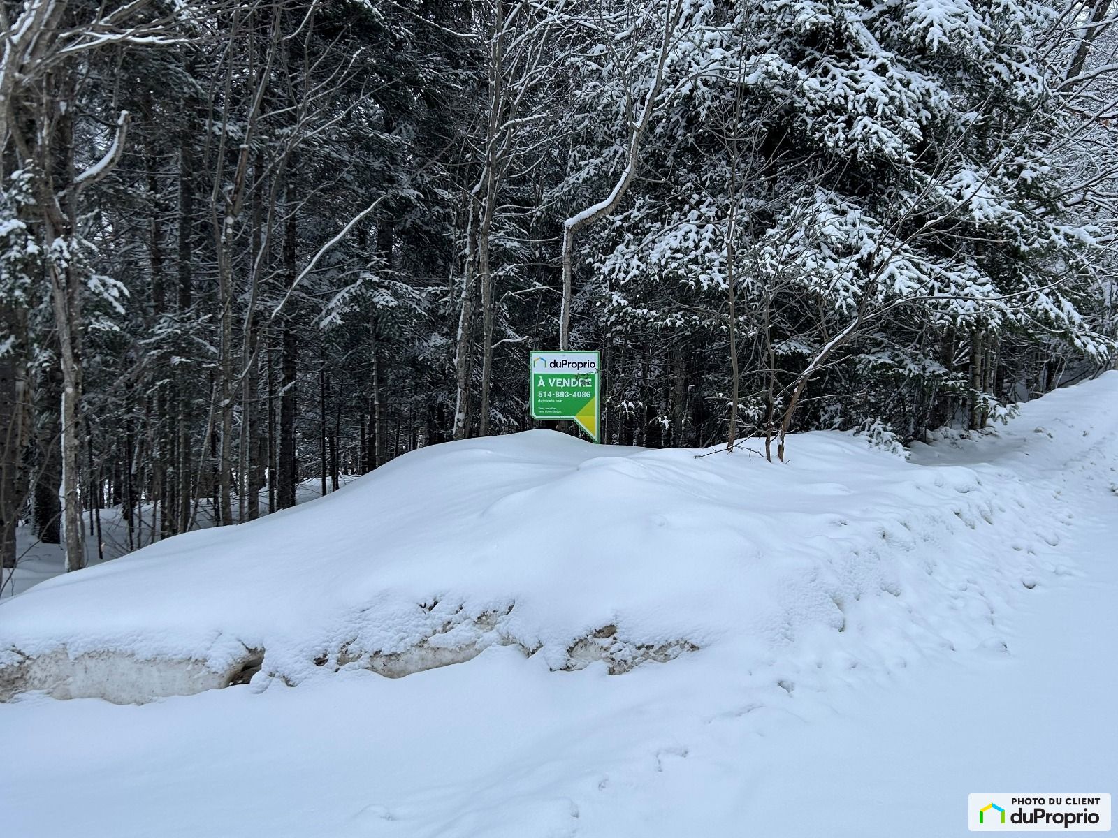 X Chemin Des Sureaux — photo 1