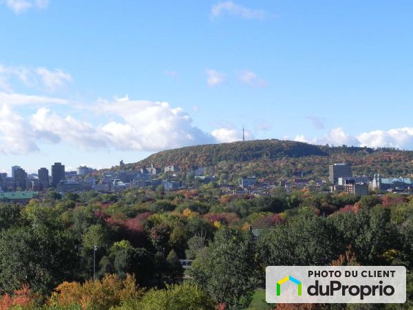 1513-3535 avenue Papineau, Le Plateau-Mont-Royal à vendre