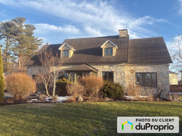 Winter Front - 860 rue Guérin, St-Michel for sale