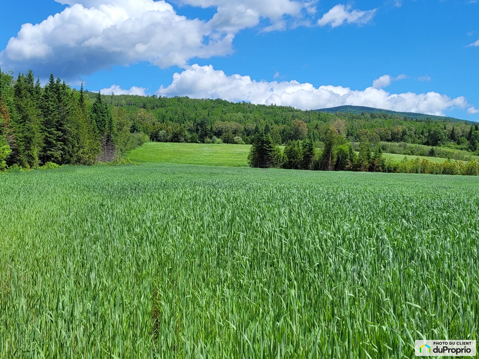 Chemin Des Lacs — photo 3