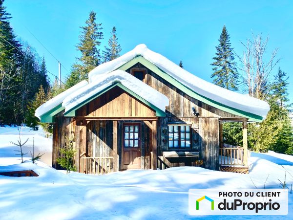 48 chemin Marie Rose, Val-Des-Lacs à vendre