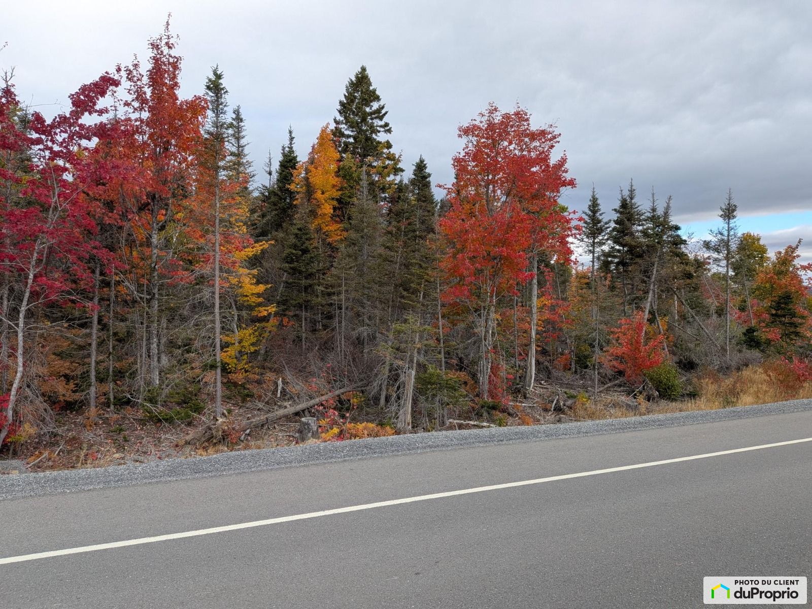 Route Du Port — photo 3