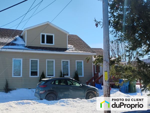 117, rue Principale, Les Méchins à vendre