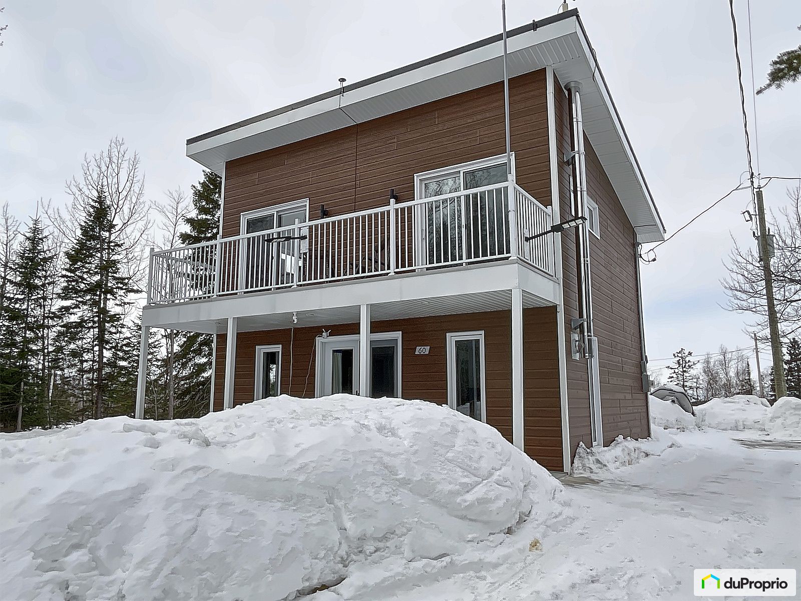 60 Chemin De La Cabane — photo 1