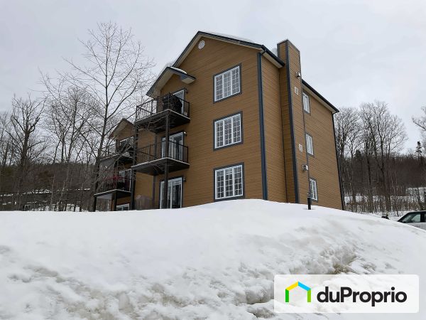 201-513, chemin du Hibou, Stoneham à vendre