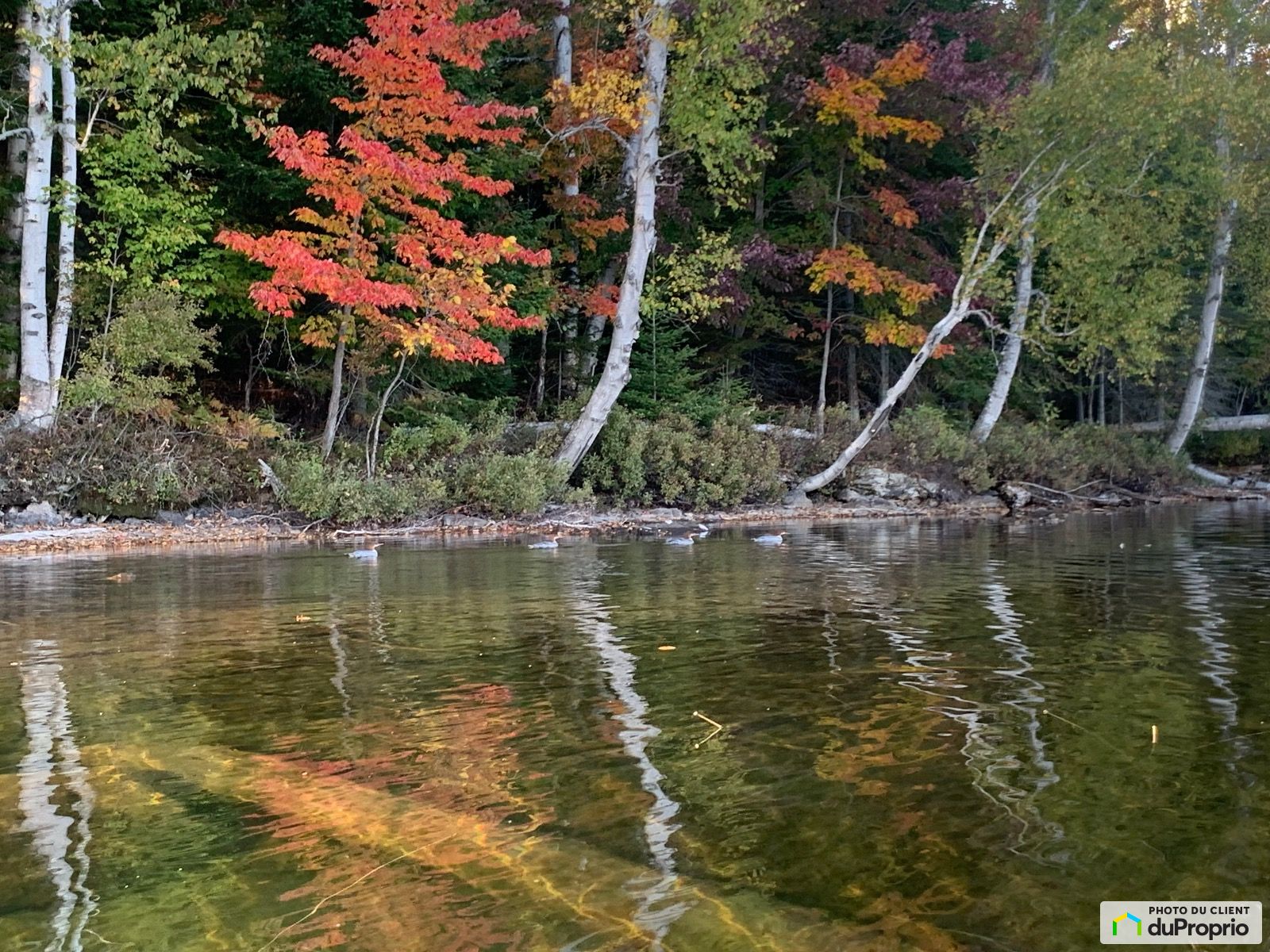 Chemin Des Outardes — photo 2