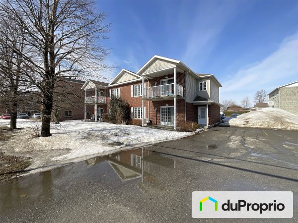 7450, boulevard Laframboise, St-Hyacinthe (St-Thomas-D'Aquin) à vendre