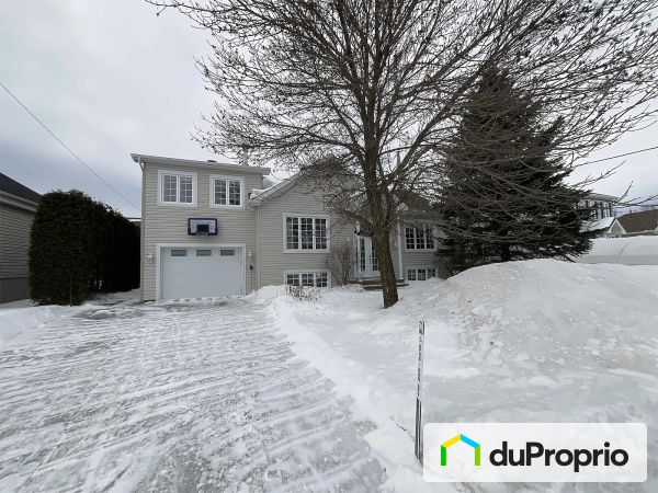 234 rue de Villieu, St-Nicolas for sale