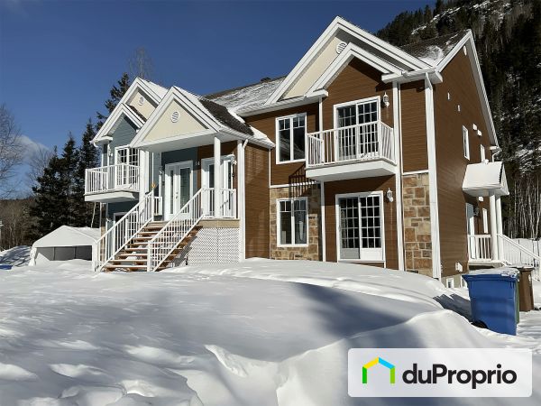 14A, chemin Périgny, L'Anse-St-Jean à vendre