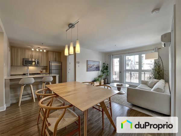 Overall View - 211-2145 rue Saint-Clément, Mercier / Hochelaga / Maisonneuve for sale