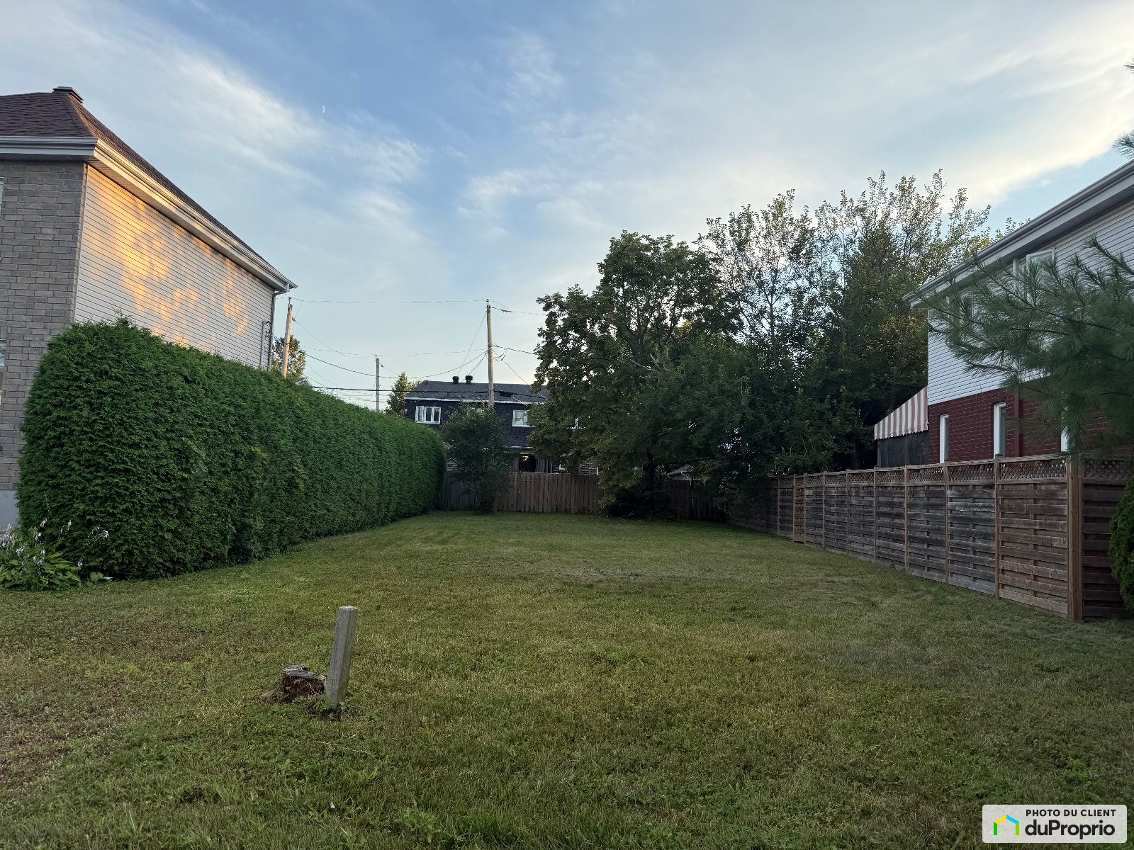 6655 Rue Booker — photo 2