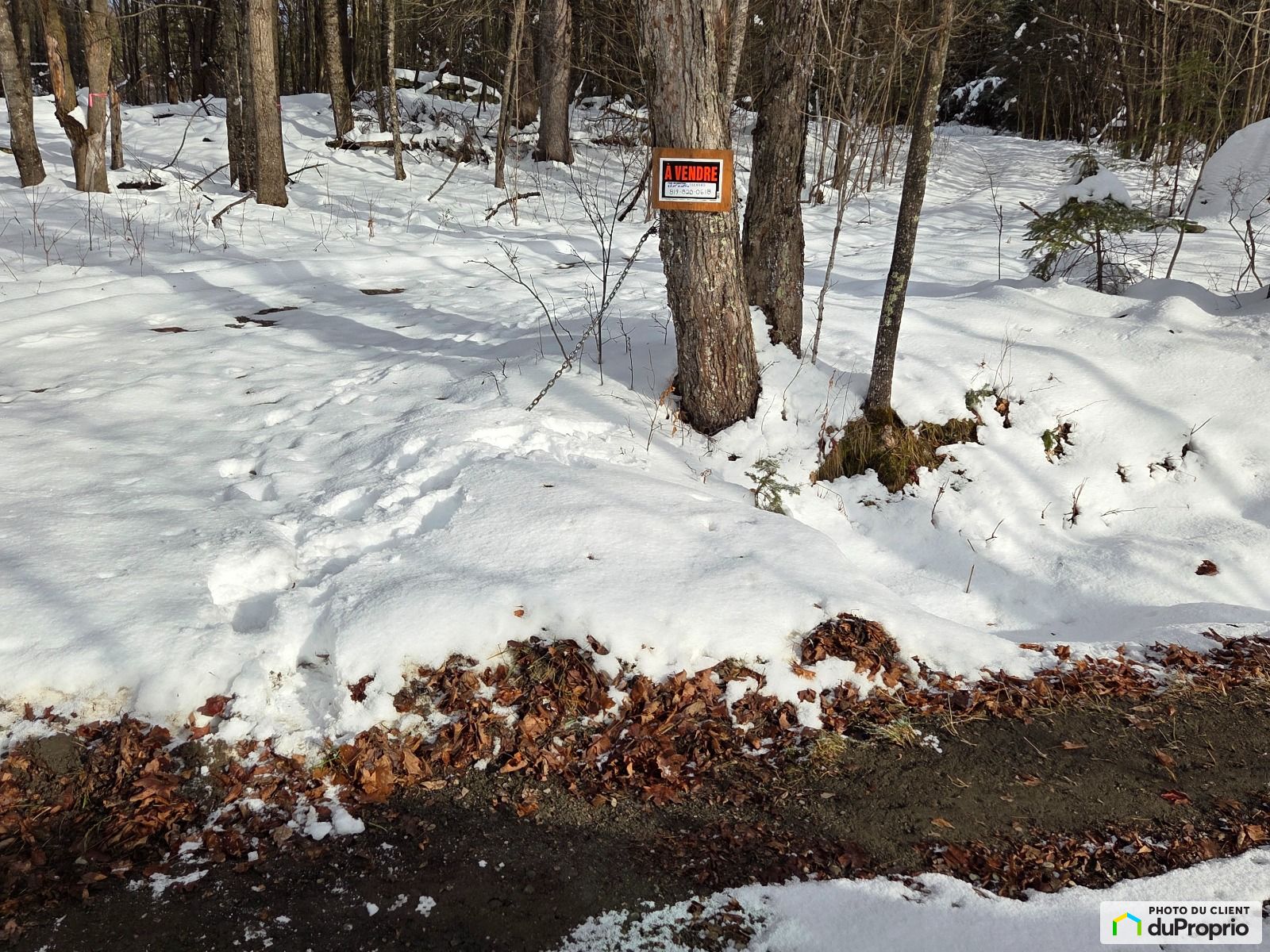 Chemin Goddard — photo 1
