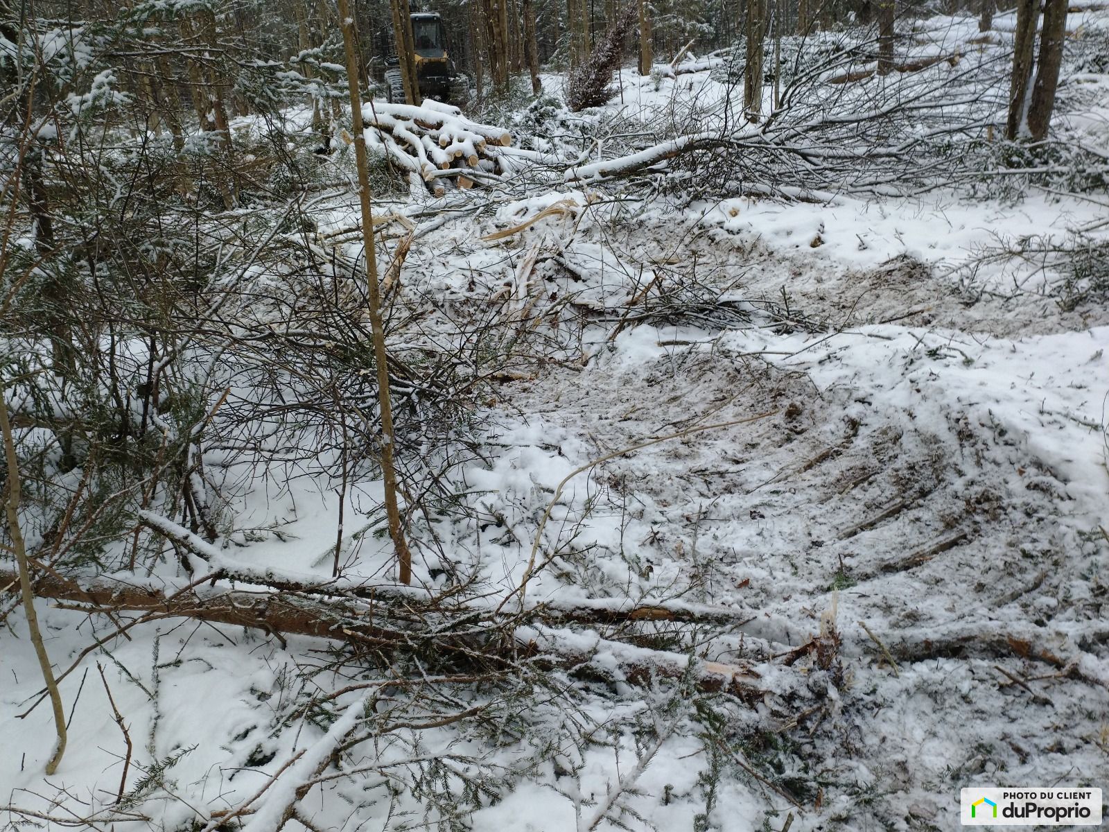 Chemin Goddard — photo 2