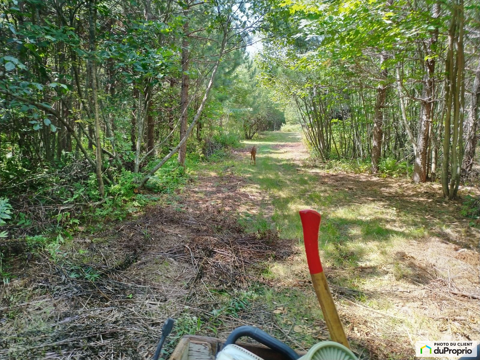 Chemin Goddard — photo 3