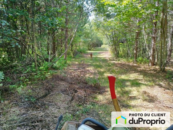 , chemin Goddard, Cookshire-Eaton à vendre