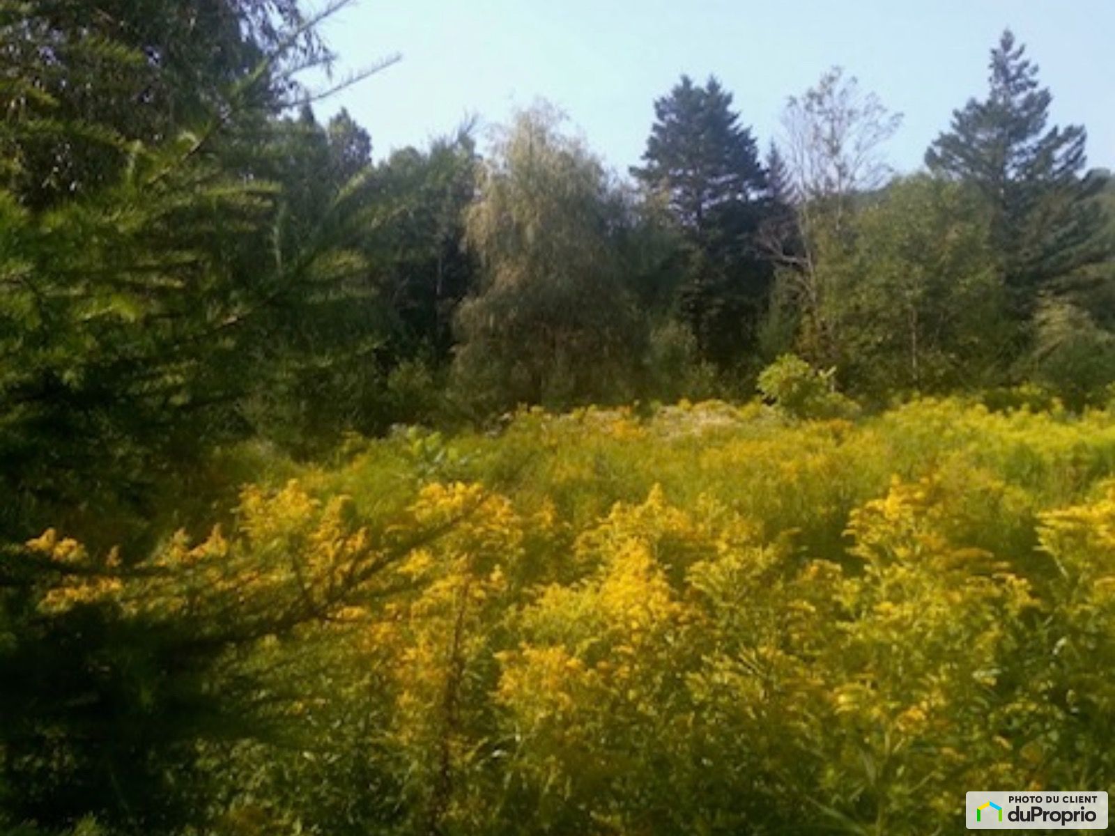 Route Des Ormes — photo 1