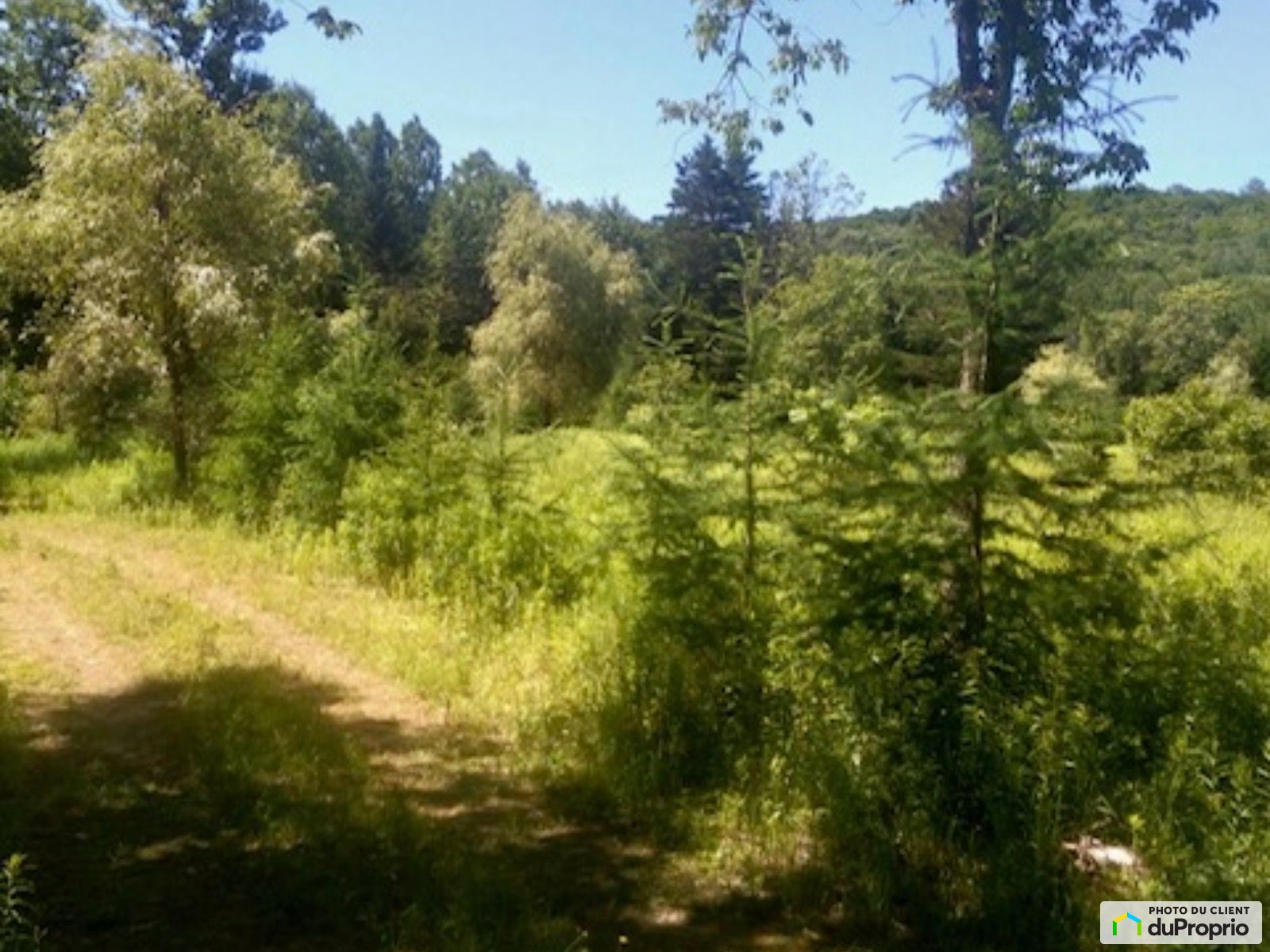 Route Des Ormes — photo 2