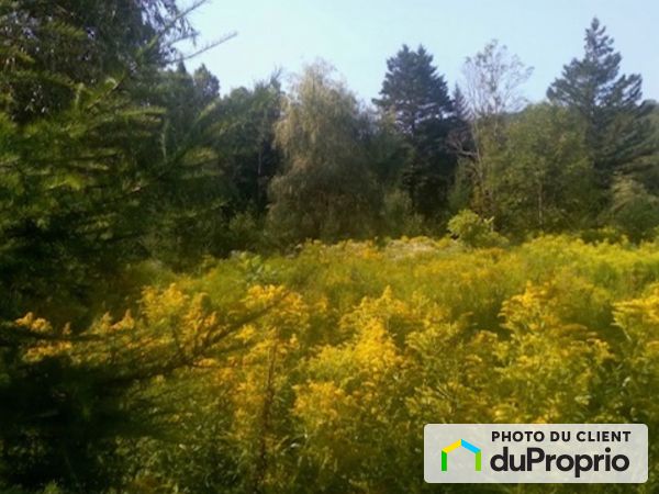 , route des Ormes, La Conception à vendre