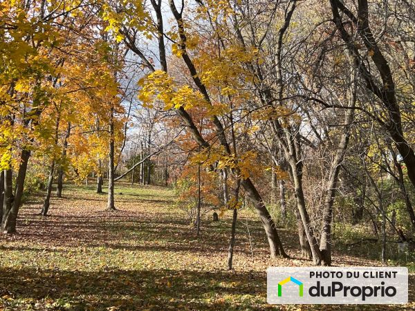 835, côte Saint-Jean, St-Roch-De-Richelieu à vendre