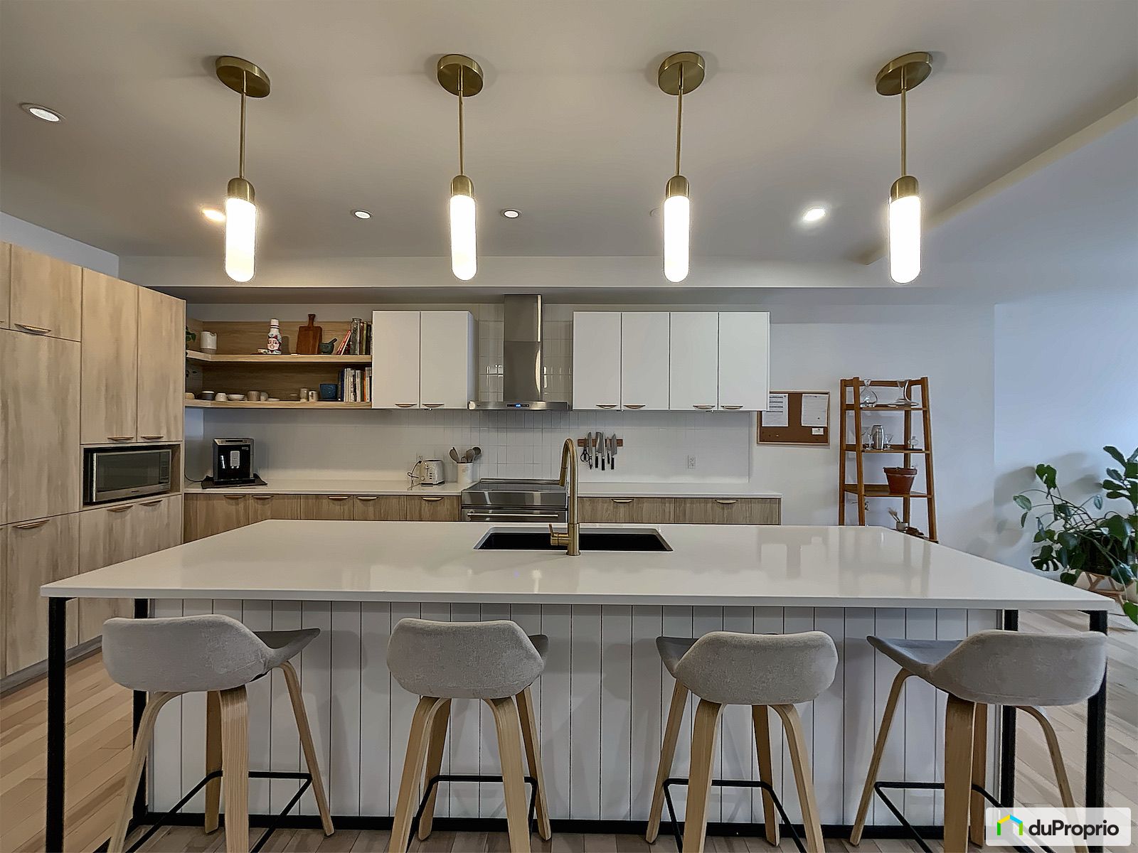 7015 Rue De La Roche — photo 3