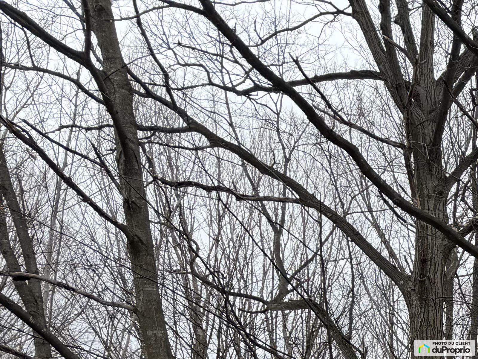 X Chemin Hemming — photo 3