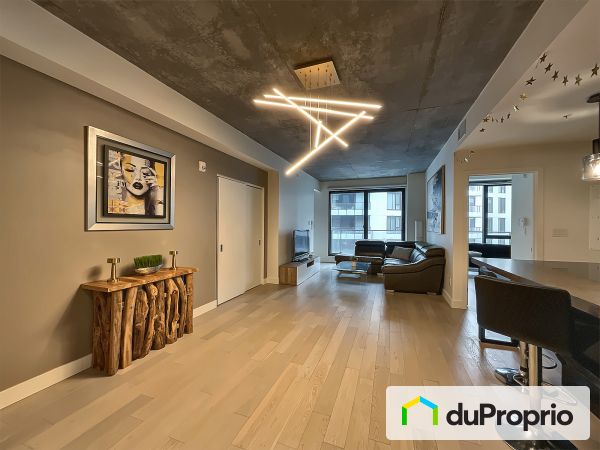 Entrée - 529-1550, rue des Bassins, Griffintown à vendre