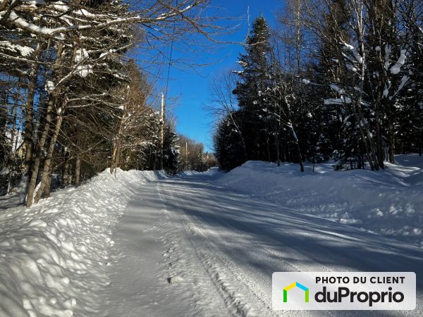 , chemin Baumann, Lac-Saguay à vendre