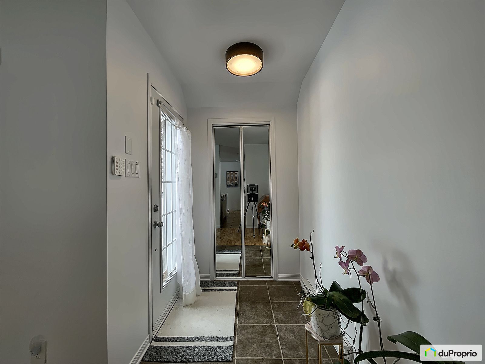 7930 Rue Angele — photo 2
