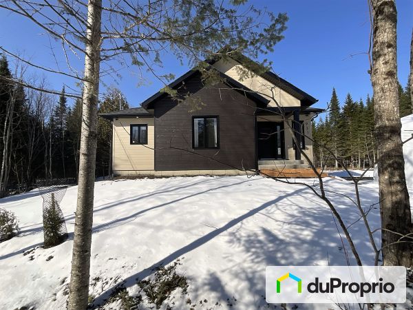 931, rue Morin, St-Rene à vendre