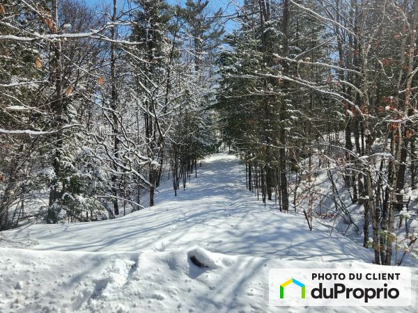Entrée - 1564, montée Paiement, Val-Des-Monts à vendre