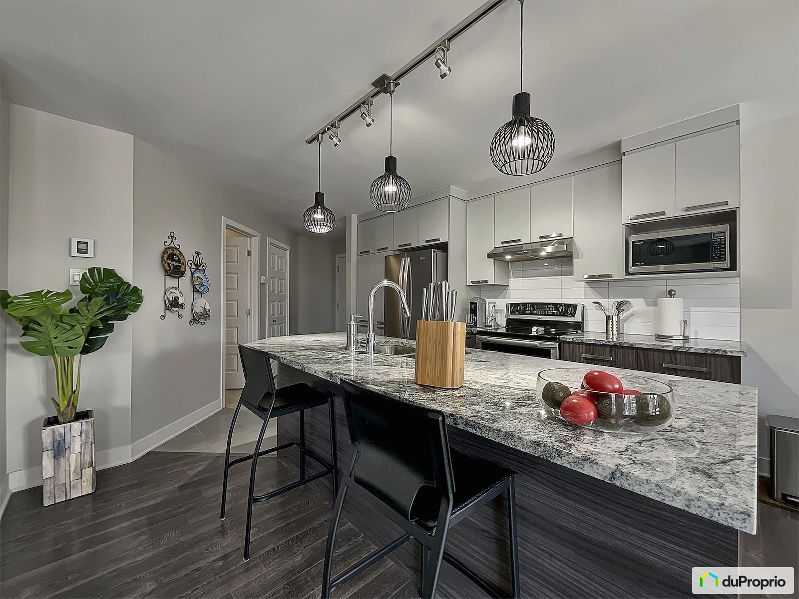 204 260 Rue Du Macon — photo 3