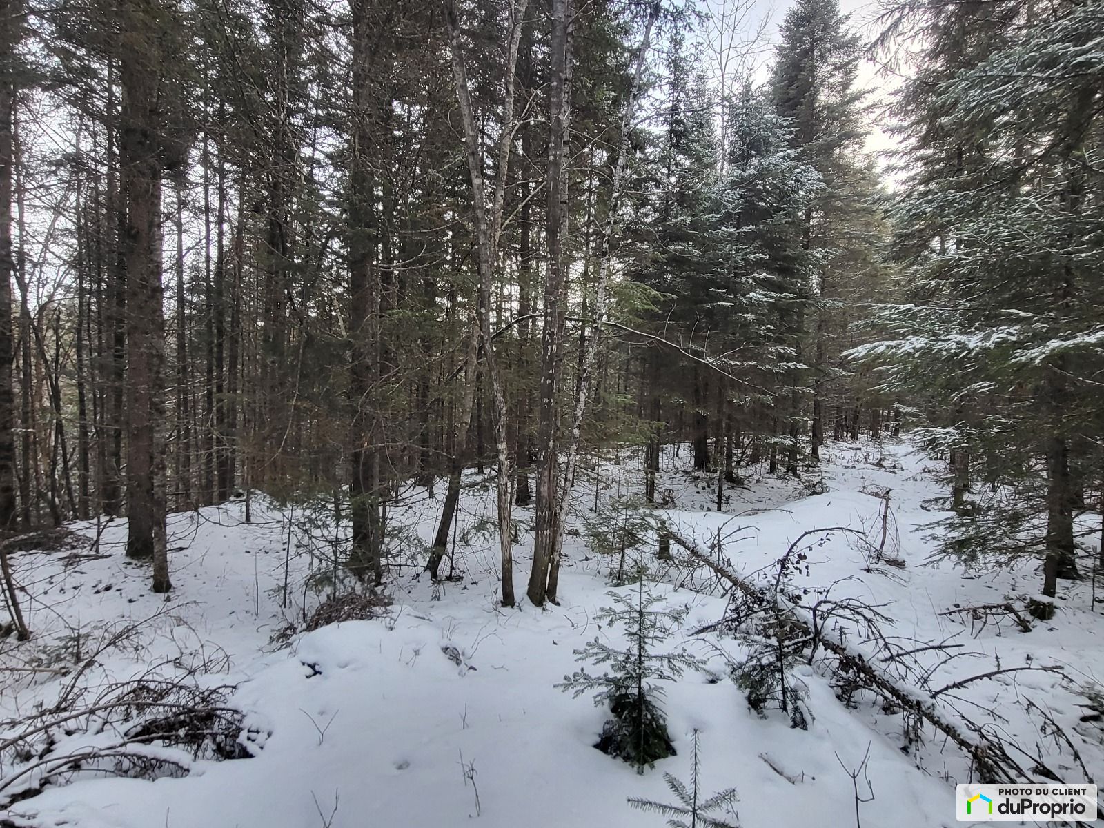 Chemin Simard — photo 1