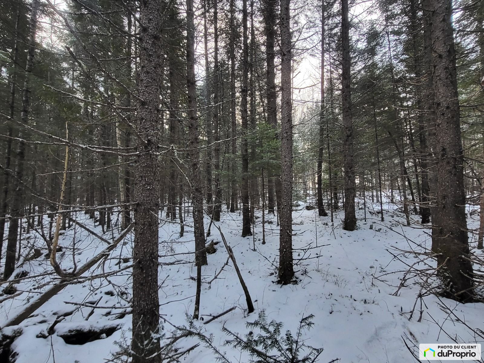 Chemin Simard — photo 2