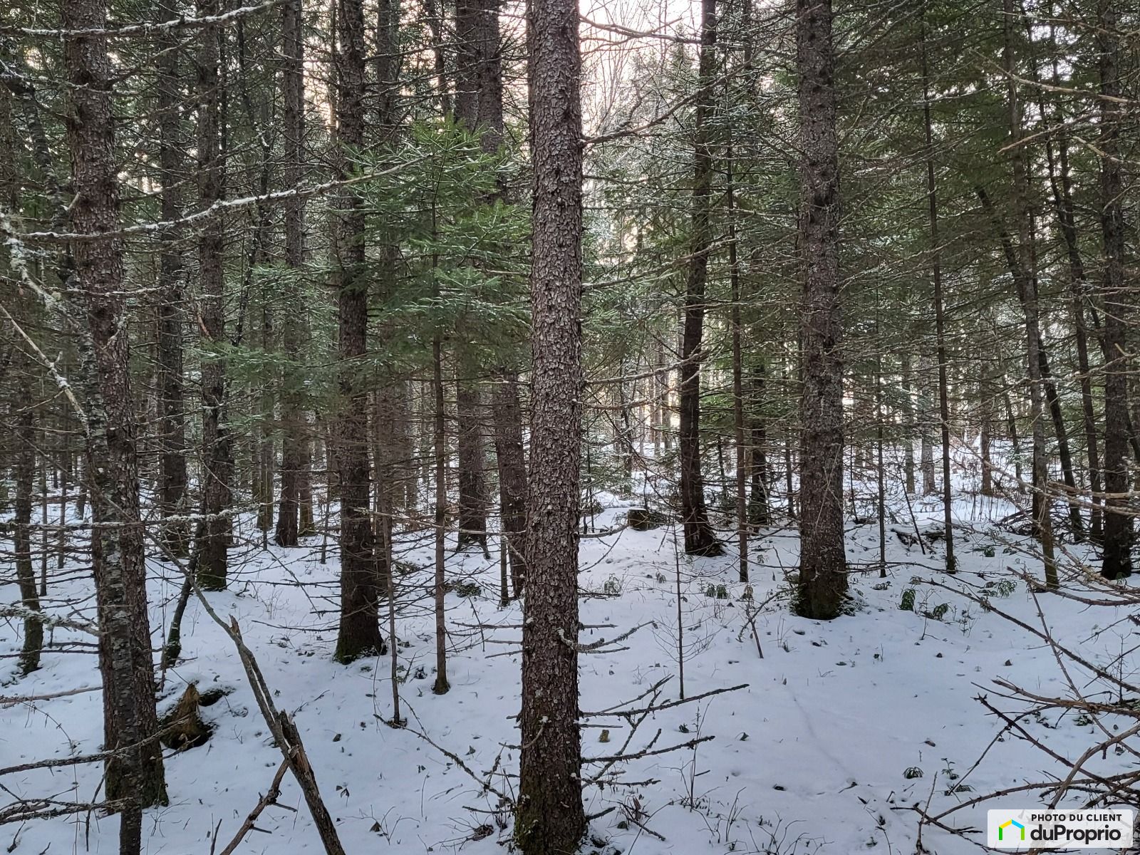Chemin Simard — photo 3