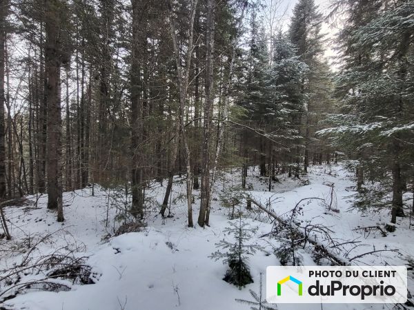 , chemin Simard, Lac-Aux-Sables à vendre