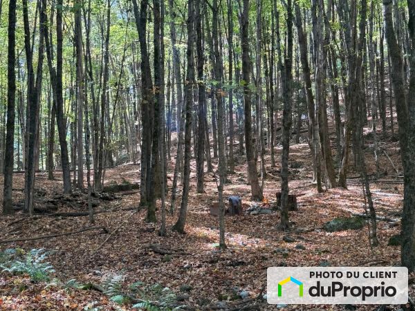 201-730 chemin de Gaspé, Bromont for sale