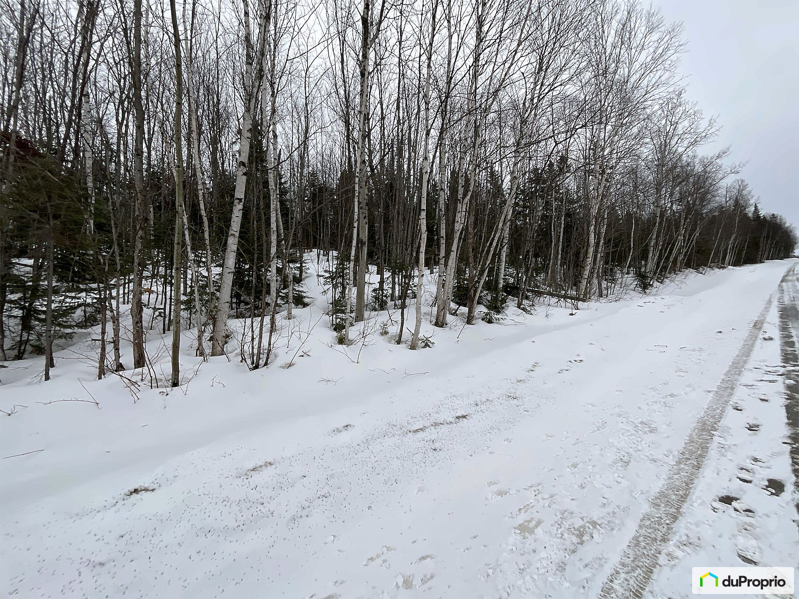 Chemin Du Lac Sud — photo 3