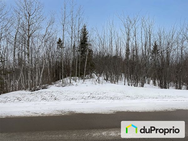 , rang 4 Est, Ste-Francoise à vendre