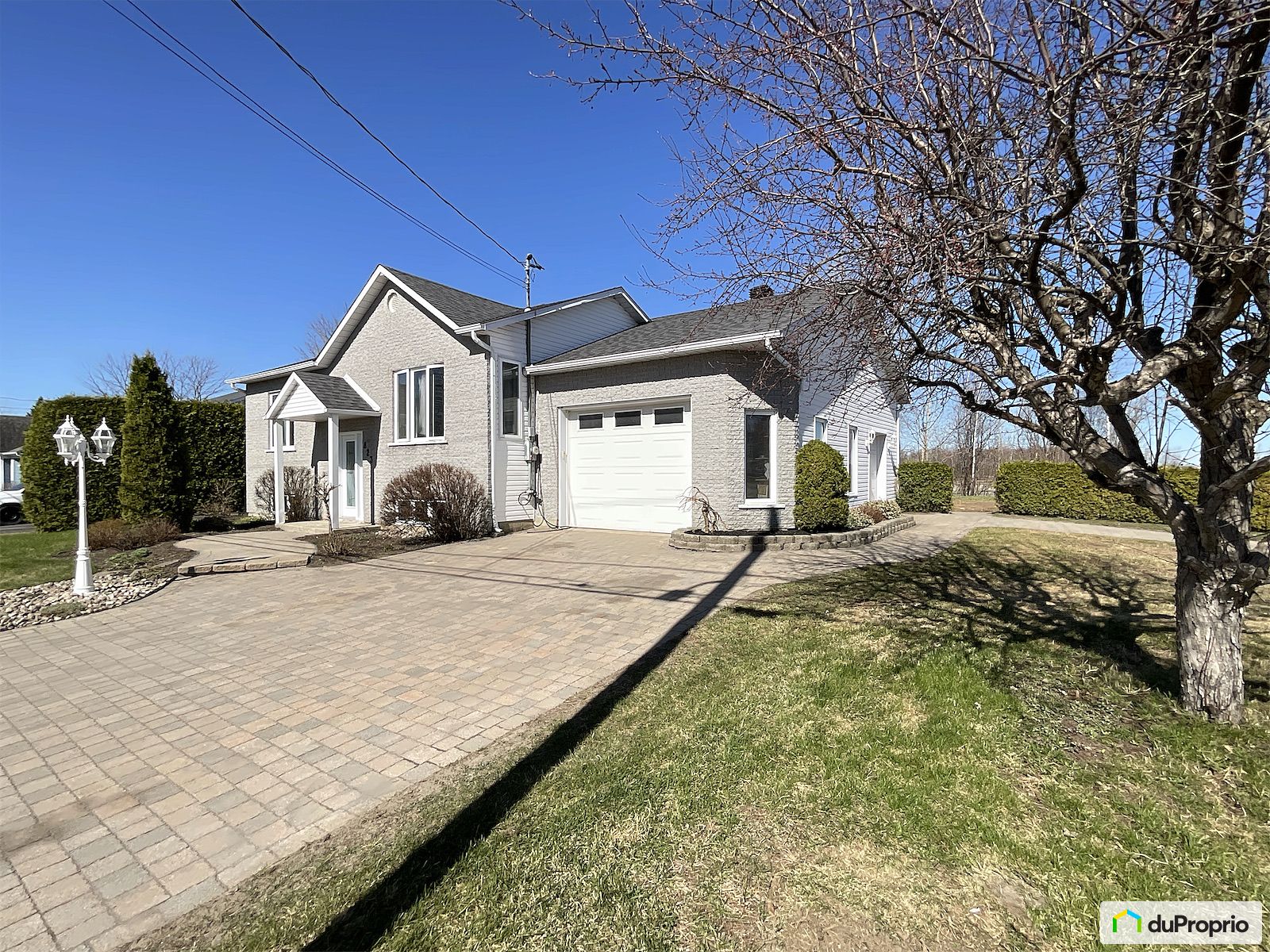 823 Rue Rolland — photo 3